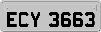 ECY3663