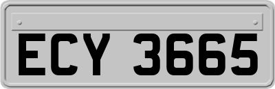 ECY3665