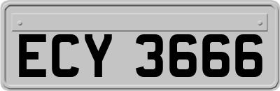 ECY3666