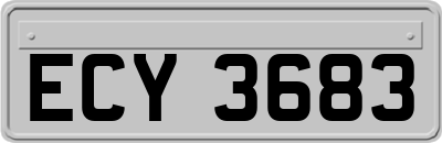 ECY3683