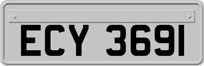 ECY3691