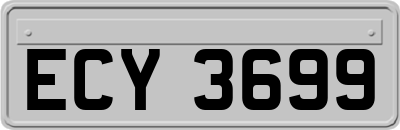 ECY3699