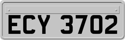 ECY3702