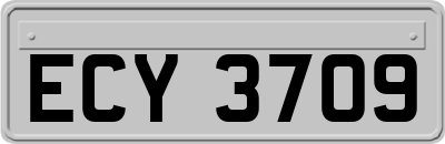 ECY3709