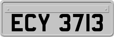 ECY3713