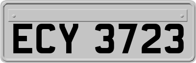 ECY3723