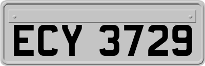 ECY3729