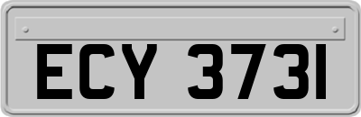 ECY3731