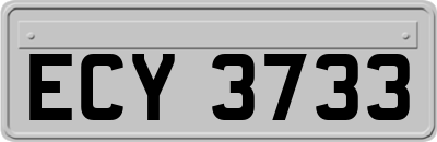 ECY3733