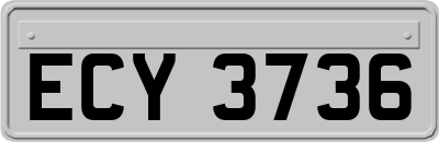 ECY3736