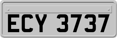 ECY3737