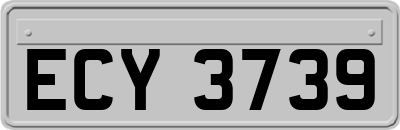 ECY3739