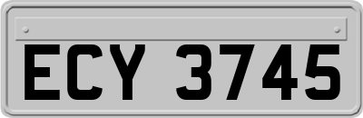 ECY3745