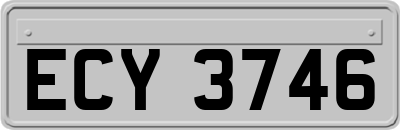 ECY3746