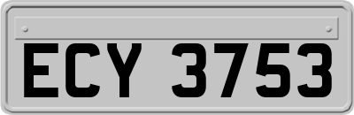 ECY3753