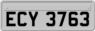 ECY3763