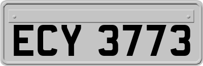 ECY3773