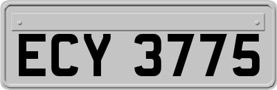 ECY3775