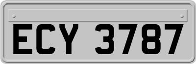 ECY3787