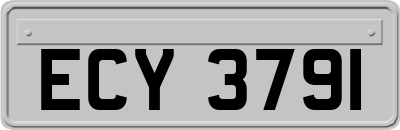 ECY3791