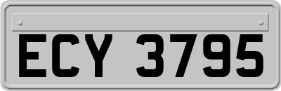 ECY3795
