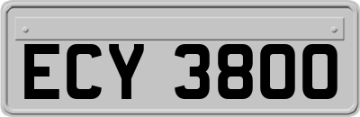 ECY3800