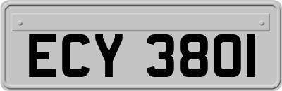 ECY3801