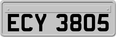 ECY3805