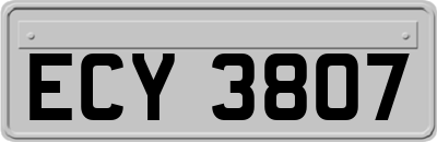 ECY3807