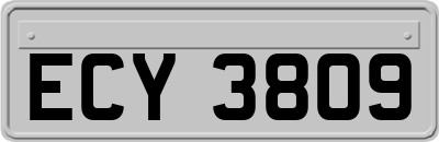 ECY3809