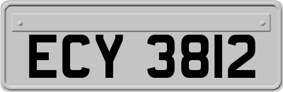 ECY3812
