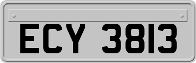 ECY3813