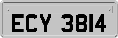 ECY3814