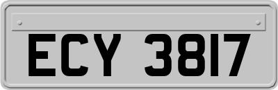 ECY3817