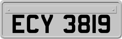 ECY3819