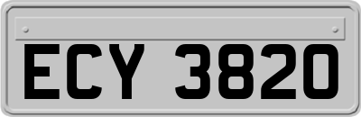ECY3820