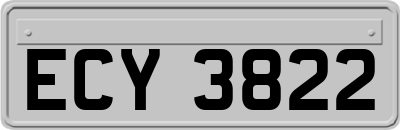 ECY3822