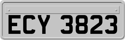 ECY3823
