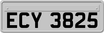 ECY3825