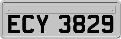 ECY3829