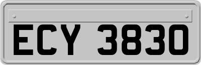 ECY3830