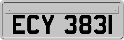 ECY3831