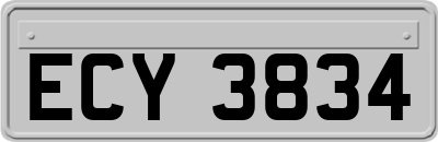 ECY3834