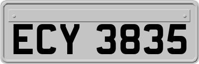 ECY3835