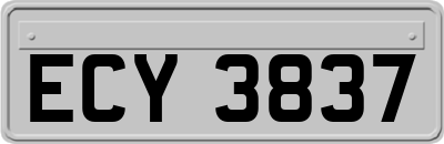 ECY3837