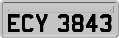 ECY3843