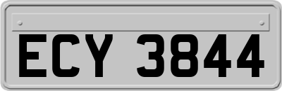 ECY3844