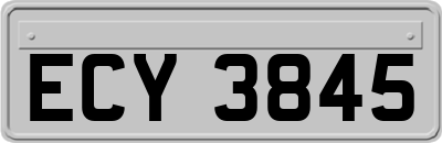 ECY3845