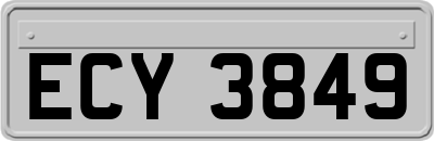 ECY3849