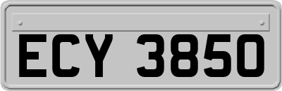 ECY3850